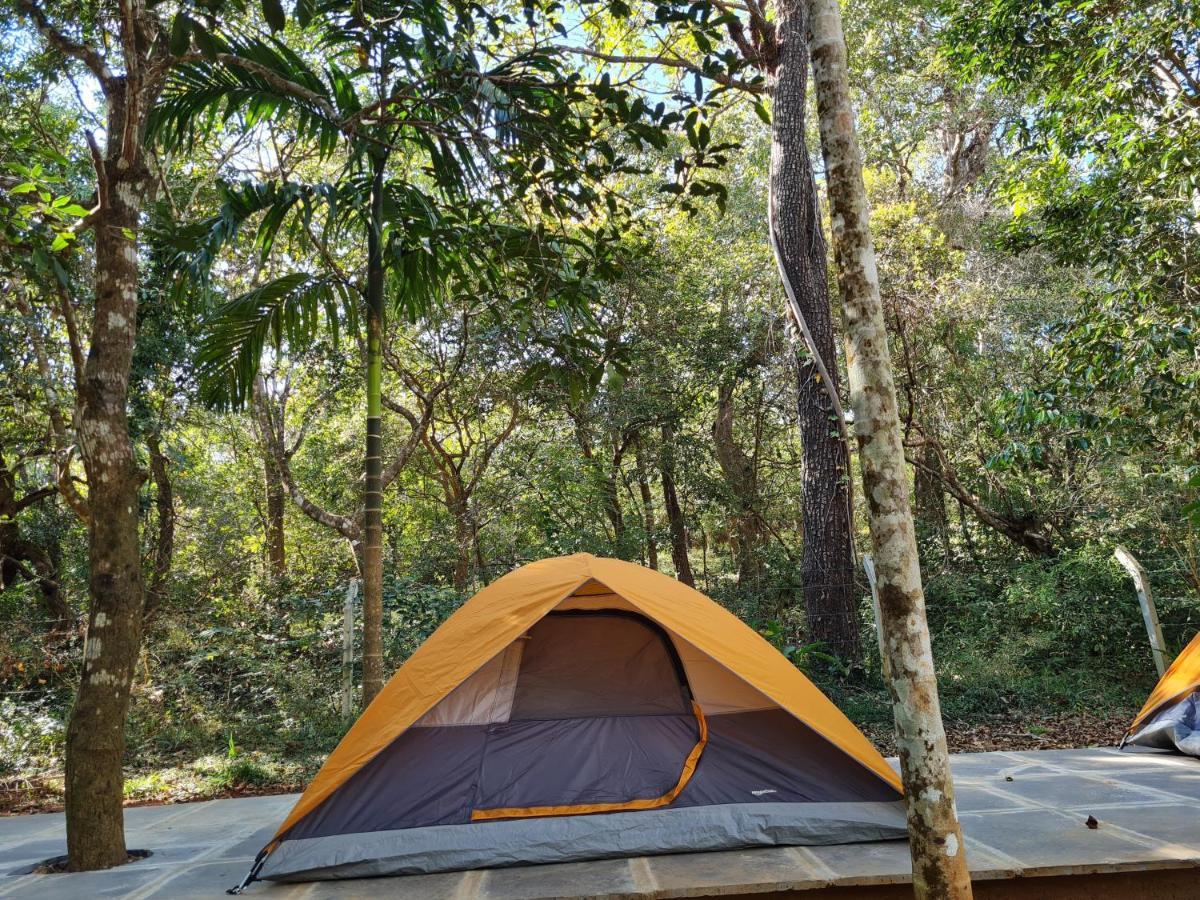 Captain'S Camp Sirsi 외부 사진
